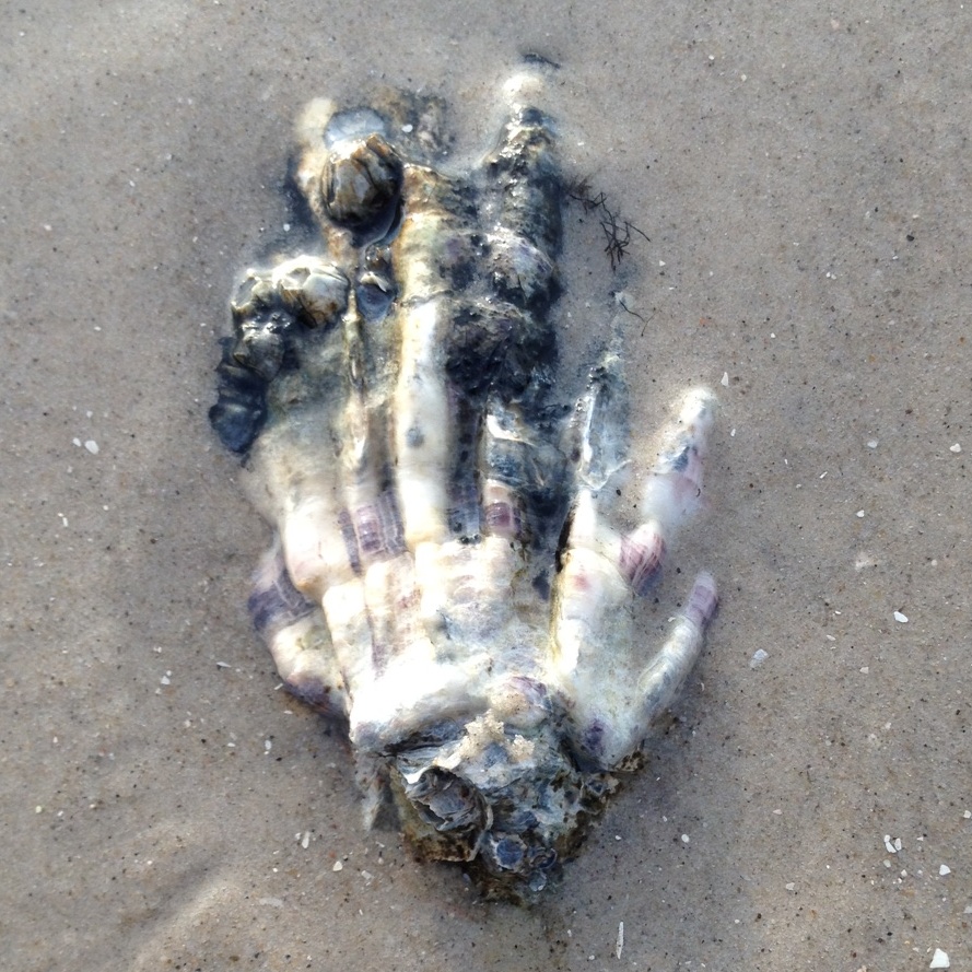 Hand_k